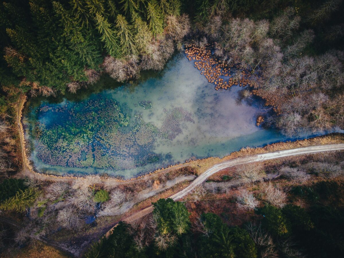 Galleria foto 'Slovenia in estate: Terme, relax e scenari mozzafiato…' - foto 3