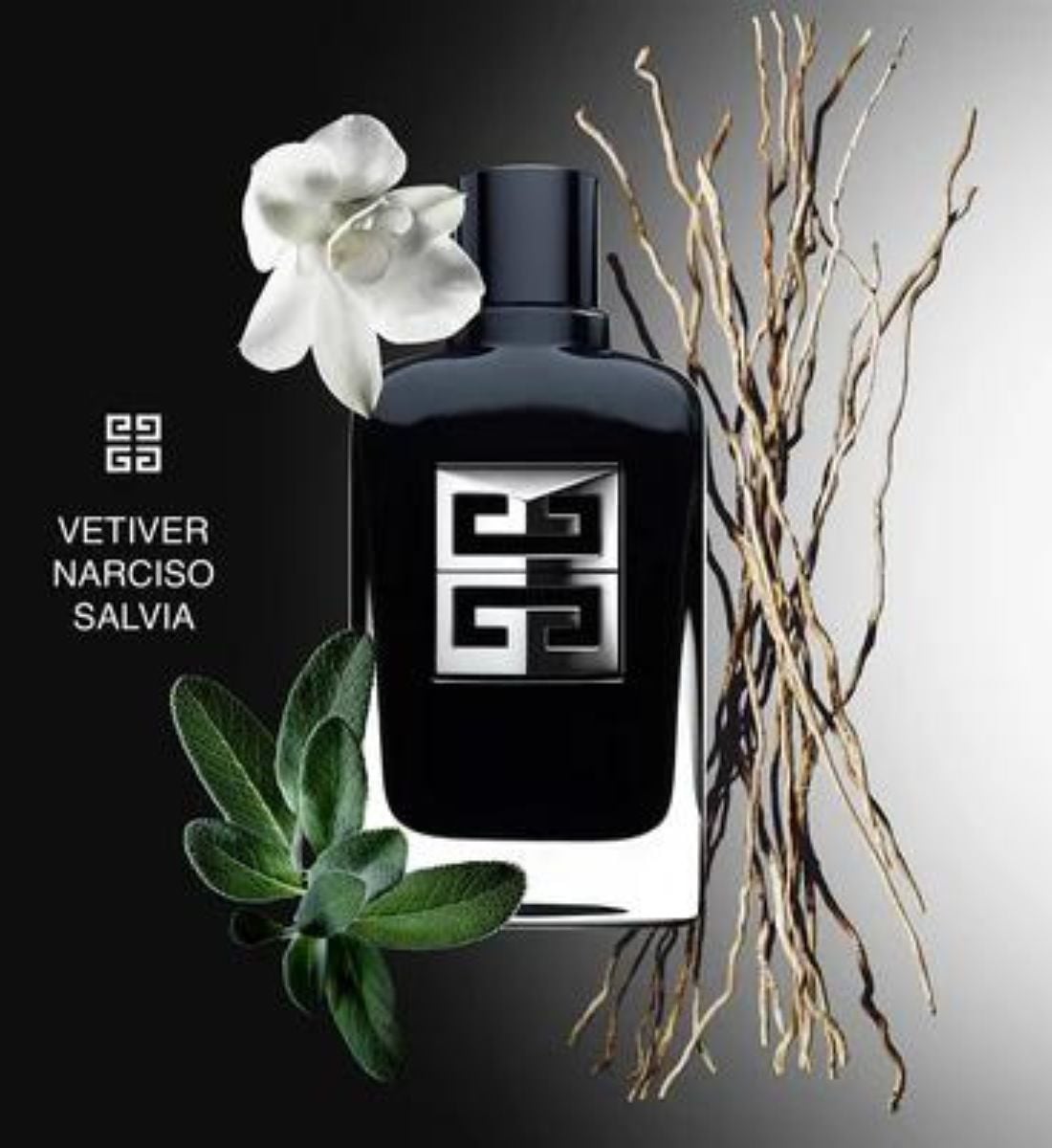 Galleria foto 'I 10 profumi da uomo che più fanno impazzire le donne' - foto 6