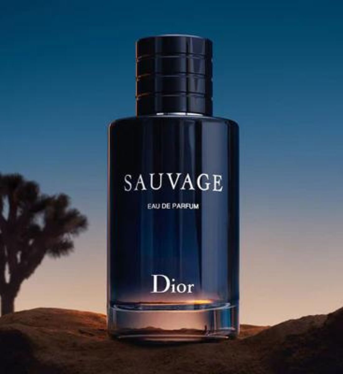 Galleria foto 'I 10 profumi da uomo che più fanno impazzire le donne' - foto 1