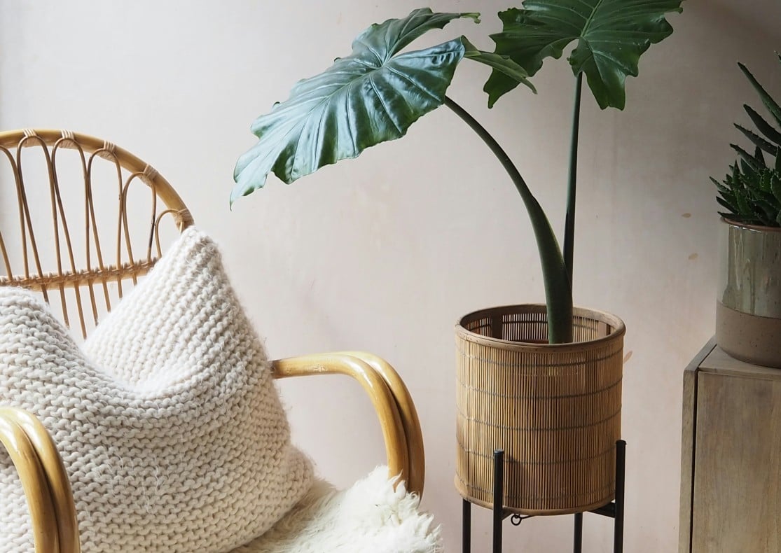 Galleria foto 'Una Guida ai Tessili per la Casa da scegliere in Autunno' - foto 4