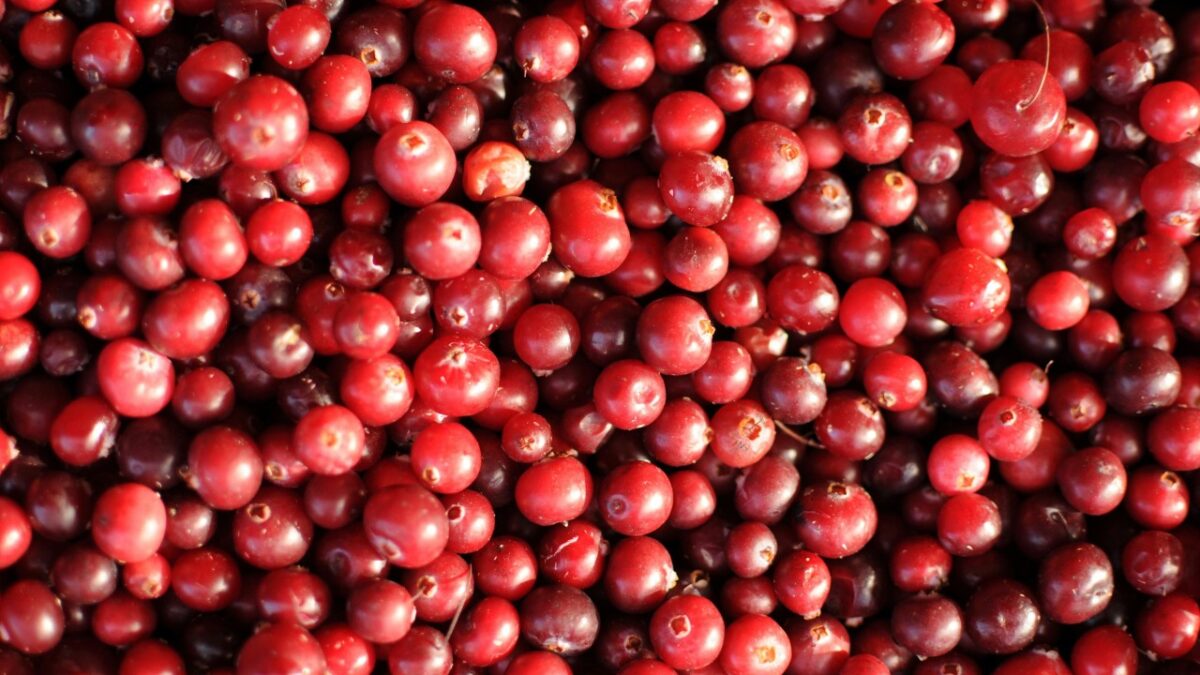 5 Creme e Sieri al Mirtillo rosso che eliminano le rughe e illuminano la pelle
