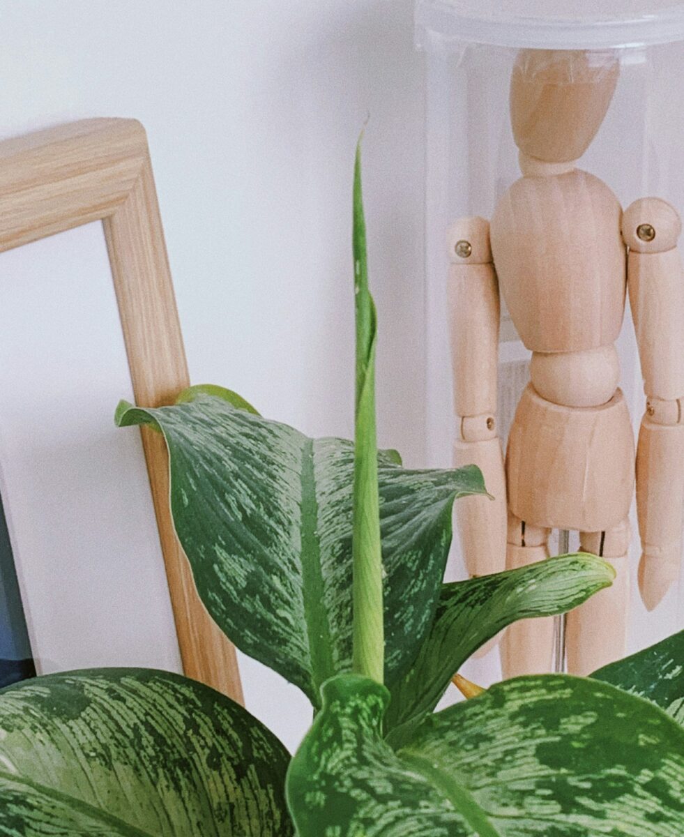 Galleria foto 'Casa Detox: come rendere la tua abitazione più sana e vivibile' - foto 3