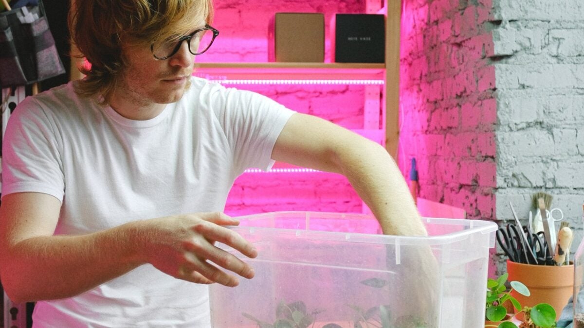 Galleria foto 'Come organizzare il Ripostiglio e tenere tutto in ordine senza sforzi…' - foto 5