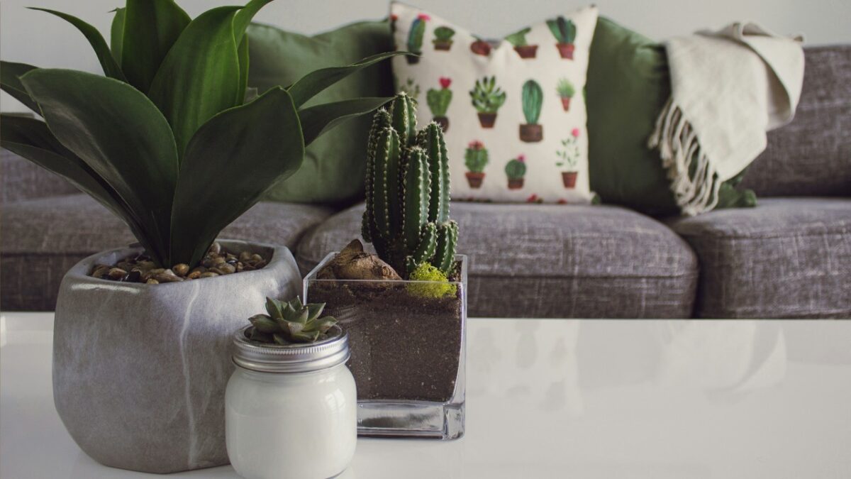 Come arredare una casa in Affitto senza spendere una fortuna: idee creative e restyling