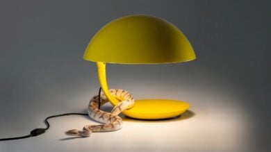 Martinelli Luce: le lampade più iconiche del celebre marchio di design