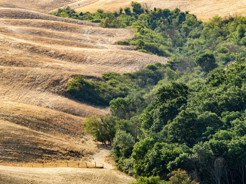 Nelle Crete Senesi si trova un meraviglioso borgo medievale tutto da esplorare Nelle Crete Senesi si trova un meraviglioso borgo medievale tutto da esplorare