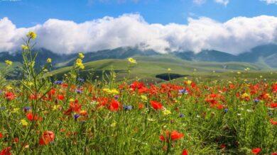 Alla scoperta dell’Umbria nascosta: il fascino del Cammino dei Borghi Silenti