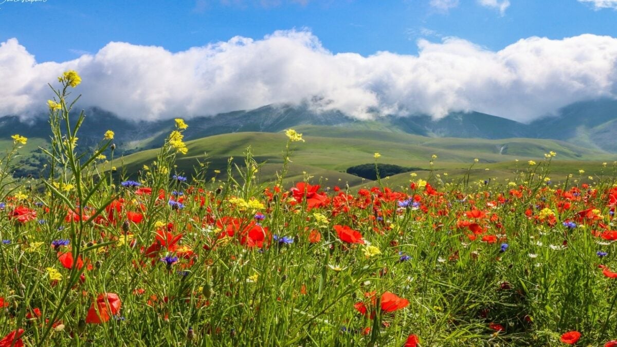 Alla scoperta dell’Umbria nascosta: il fascino del Cammino dei Borghi Silenti