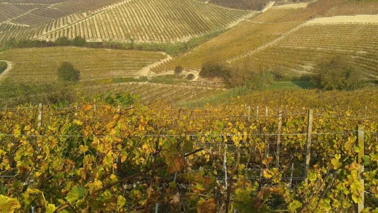 Tra le Colline di Langa e Monferrato sorge uno dei Borghi più belli d’Italia!