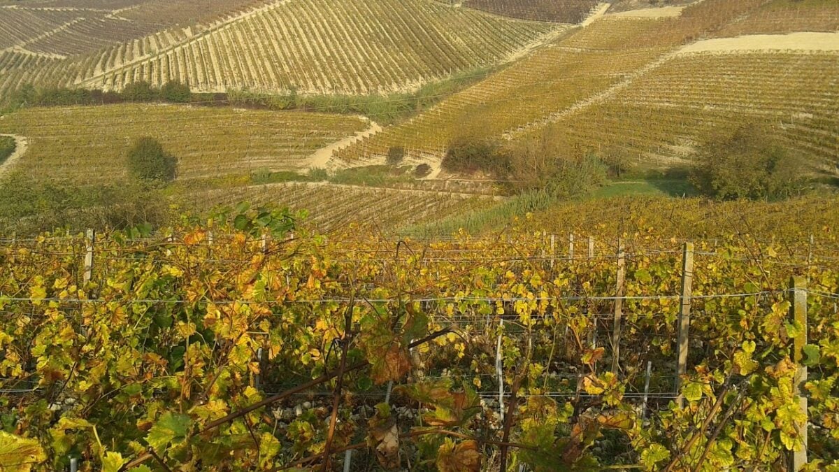 Tra le Colline di Langa e Monferrato sorge uno dei Borghi più belli d’Italia!