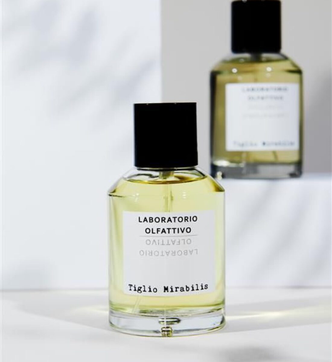 È già estate con la Classic Collection in Fiore di Laboratorio Olfattivo: profumi freschi che sanno di leggerezza e libertà! È già estate con la Classic Collection in Fiore di Laboratorio Olfattivo: profumi freschi che sanno di leggerezza e libertà!