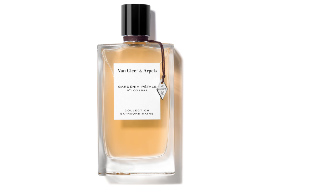 I profumi ai fiori bianchi che ti faranno sentire subito in vacanza: ecco le fragranze più sensuali dell’estate! I profumi ai fiori bianchi che ti faranno sentire subito in vacanza: ecco le fragranze più sensuali dell’estate!