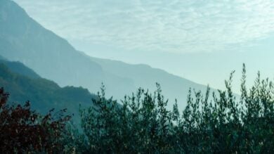 Immerso tra i Monti Lucretili, questo borgo è un tesoro di storia, natura e cultura