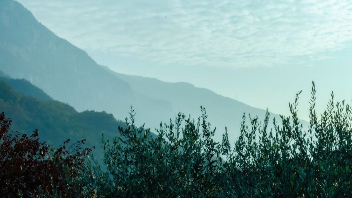 Immerso tra i Monti Lucretili, questo borgo è un tesoro di storia, natura e cultura