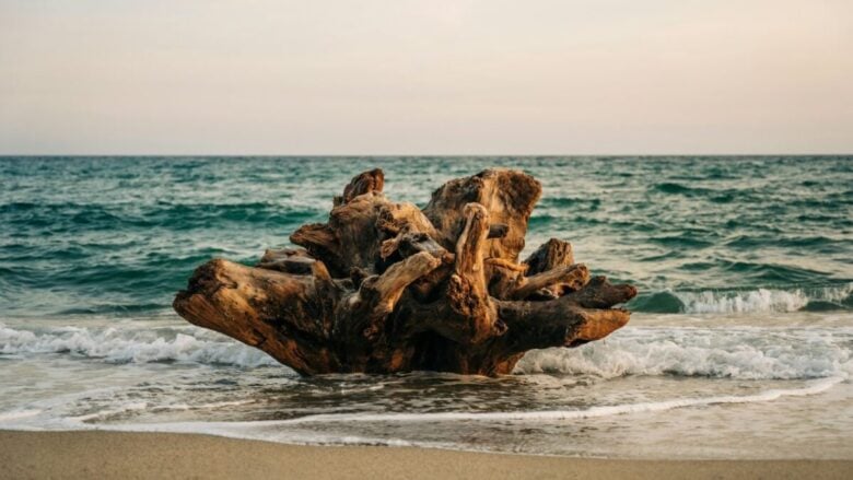 Sellia Marina, una perla della costa ionica che sventola bandiera blu