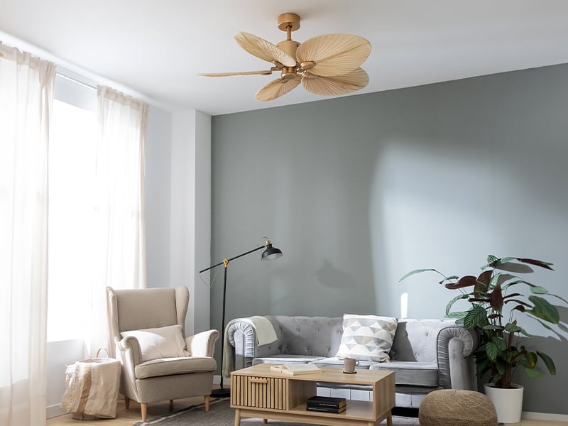 Casa fresca d’Estate senza Condizionatore: ecco le soluzioni anti-caldo accessibili per risparmiare sul Climatizzatore Casa fresca d’Estate senza Condizionatore: ecco le soluzioni anti-caldo accessibili per risparmiare sul Climatizzatore