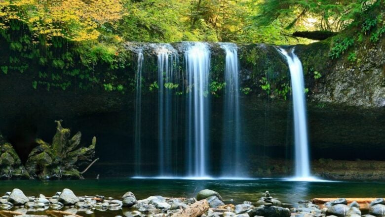 5 parchi naturali dell’Emilia Romagna da visitare d’estate: oltre il mare c’è di più!