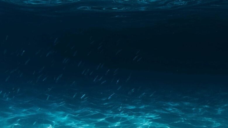Giornata Mondiale degli Oceani: dai solari Ocean Safe alla Waterless Beauty , i cosmetici che fanno bene alla pelle e al pianeta