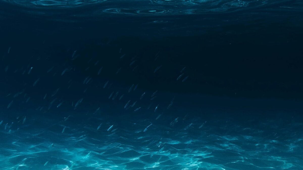 Giornata Mondiale degli Oceani: dai solari Ocean Safe alla Waterless Beauty , i cosmetici che fanno bene alla pelle e al pianeta