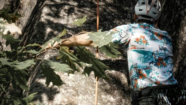 Un piccolo gioiello con una imponete Rocca: è il Borgo ideale per una gita fuori porta a due passi da Roma