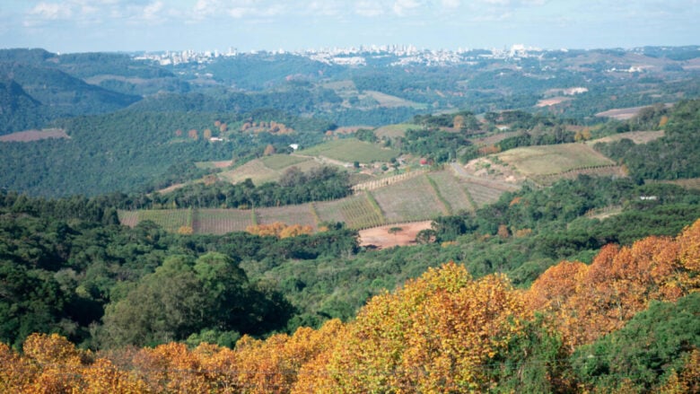 Un Borgo toscano tra colline e mare: vicoli antichi, panorami mozzafiato e una splendida Marina