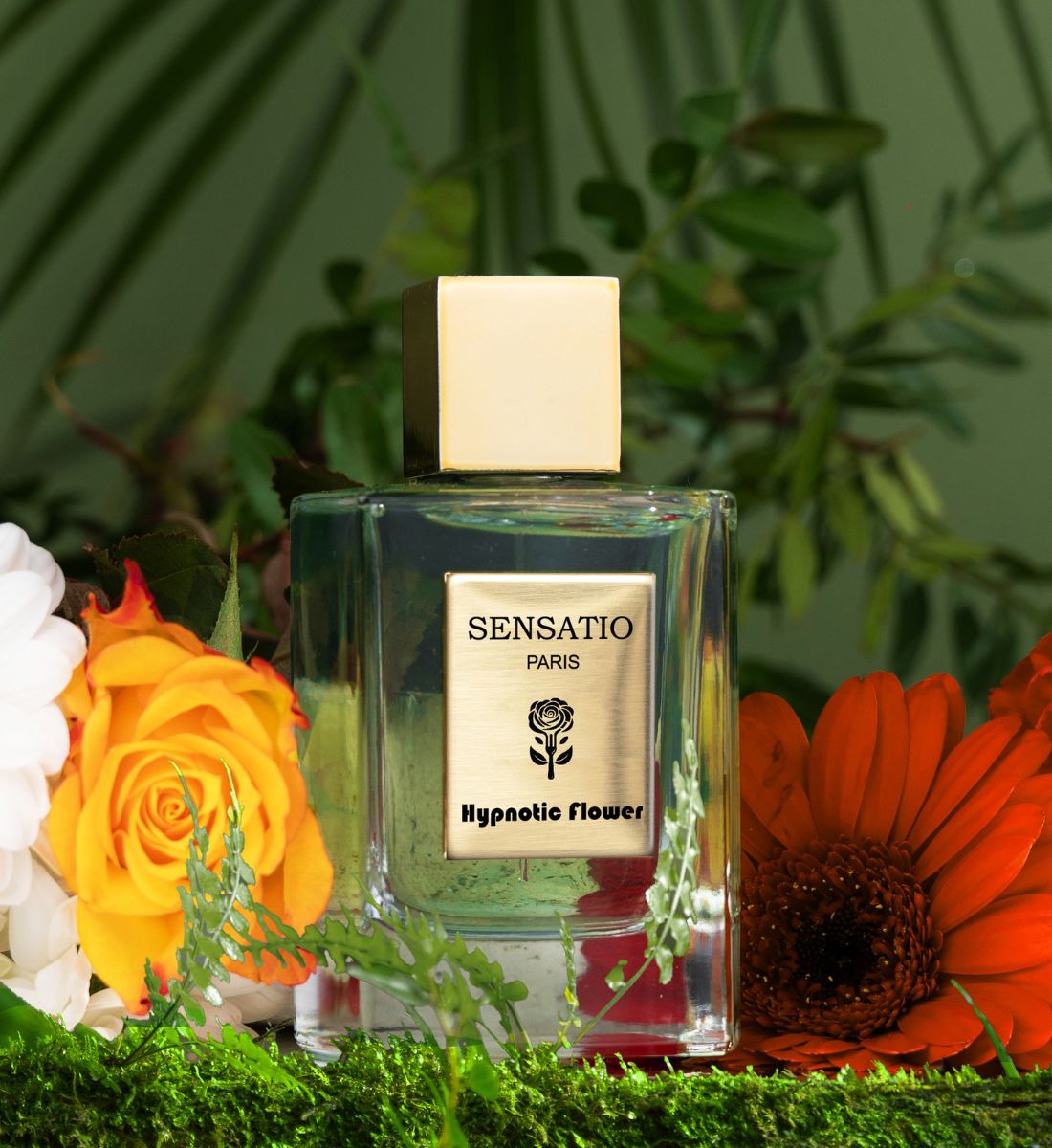 Profumi di nicchia dal cuore selvaggio: 8 fragranze Jungle che ti portano ai Tropici Profumi di nicchia dal cuore selvaggio: 8 fragranze Jungle che ti portano ai Tropici