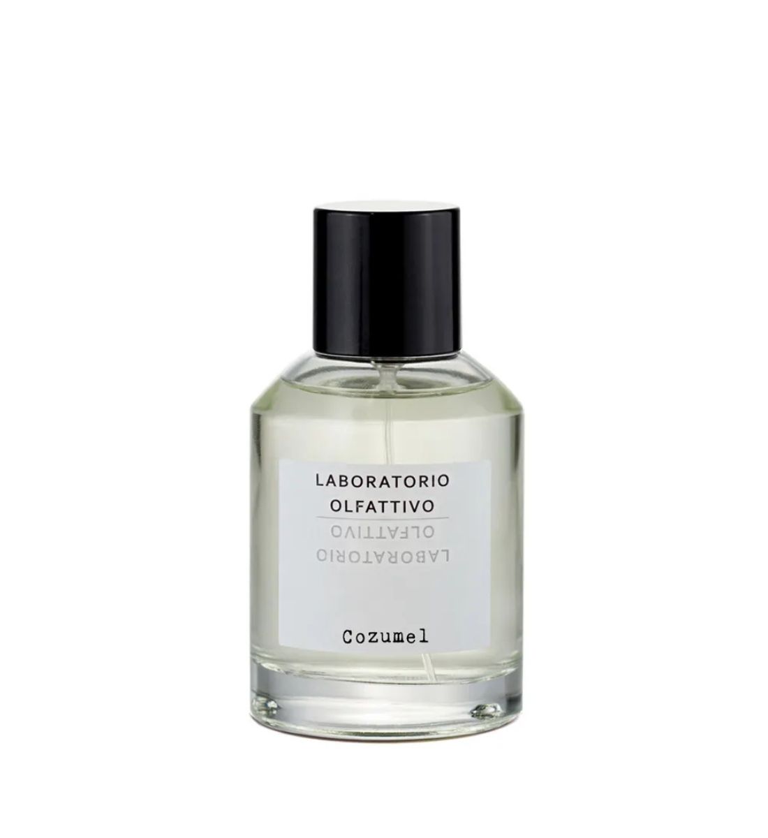 Profumi di nicchia dal cuore selvaggio: 8 fragranze Jungle che ti portano ai Tropici Profumi di nicchia dal cuore selvaggio: 8 fragranze Jungle che ti portano ai Tropici