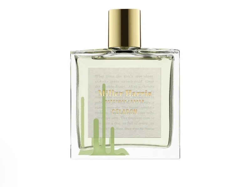 Profumi al pomodoro: le fragranze green che amerai questa estate Profumi al pomodoro: le fragranze green che amerai questa estate