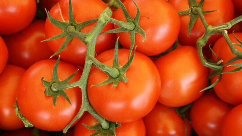 Profumi al pomodoro: le fragranze green che amerai questa estate