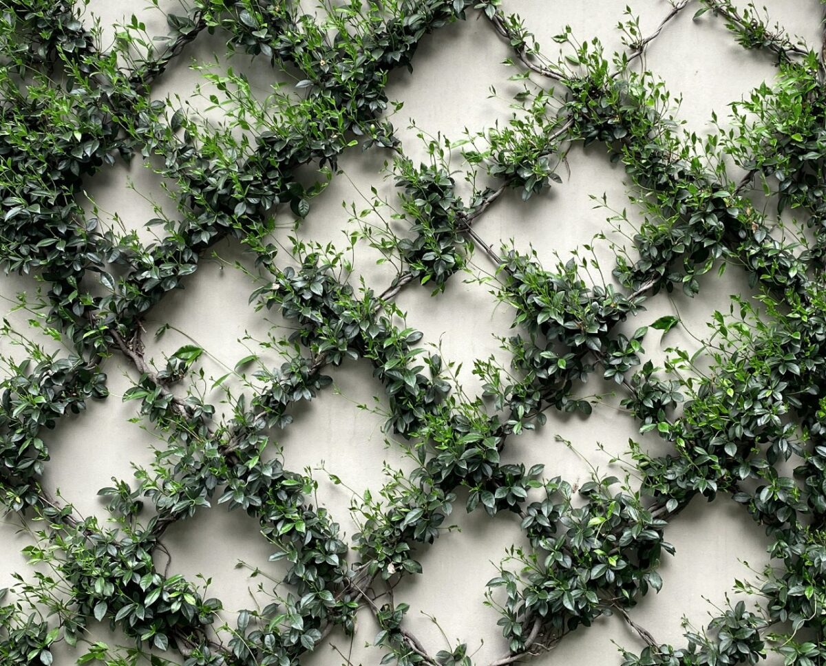Pareti della terrazza: 5 soluzioni decorative per trasformare lo spazio esterno Pareti della terrazza: 5 soluzioni decorative per trasformare lo spazio esterno