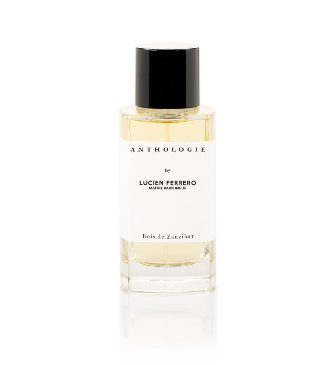 Profumi ispirati alla montagna: fragranze fresche e boschive perfette per l’estate