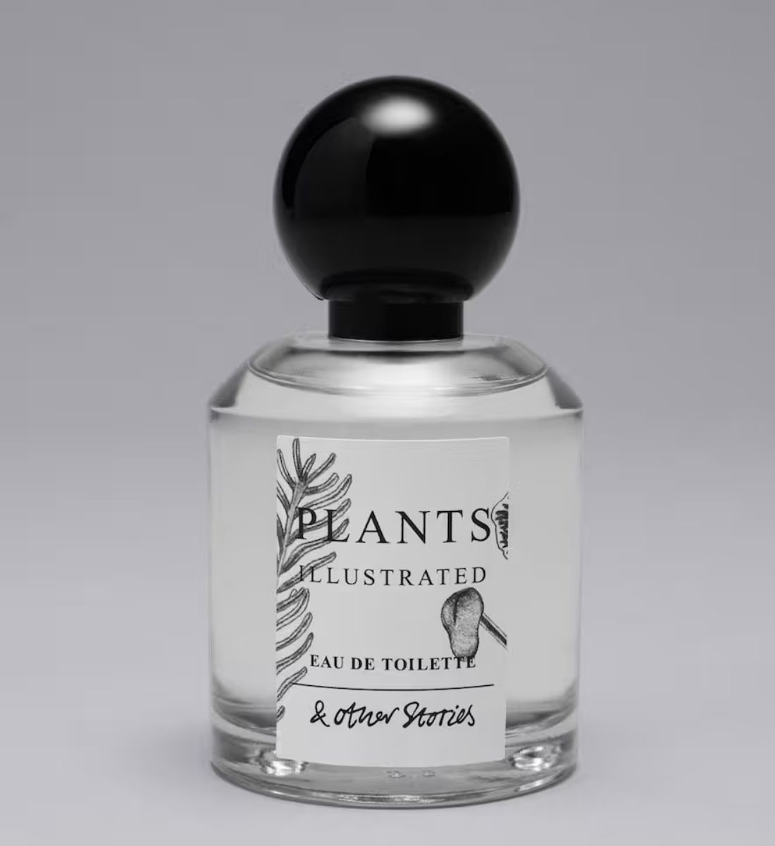 Profumi ispirati alla montagna: fragranze fresche e boschive perfette per l’estate