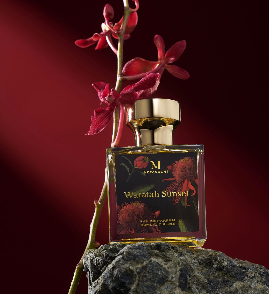 Profumi ispirati alla montagna: fragranze fresche e boschive perfette per l’estate