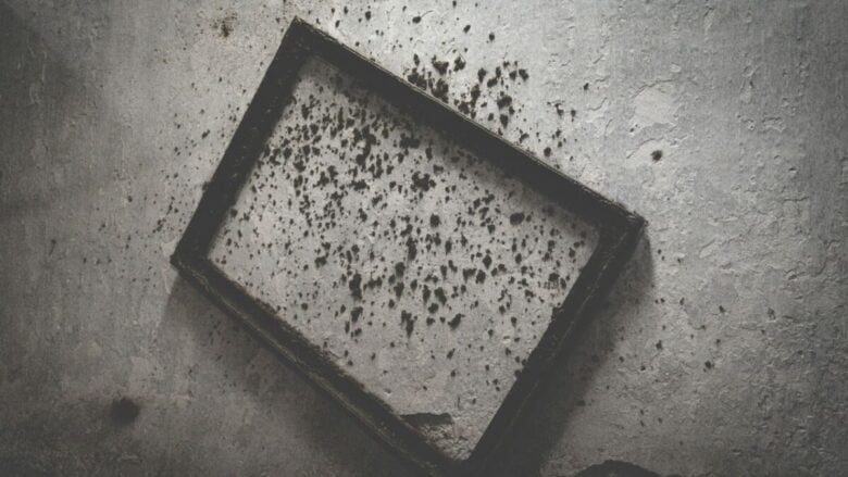 Il borgo toscano che è una galleria d’arte a cielo aperto