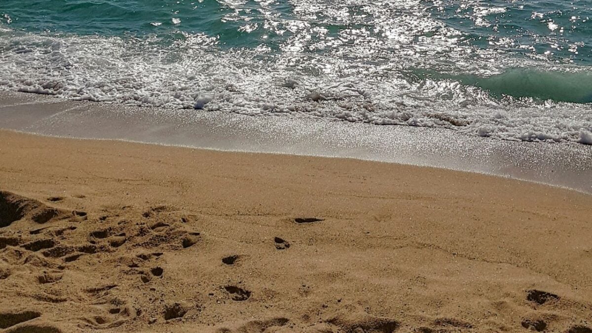 E’ in Calabria il borgo più accogliente d’Italia, dove l’ospitalità è una festa
