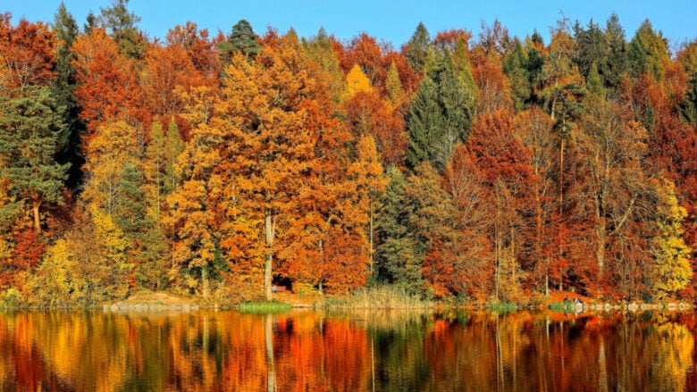 4 suggestive location Italiane dove assistere al fenomeno del foliage questo Autunno
