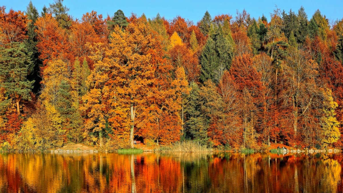 4 suggestive location Italiane dove assistere al fenomeno del foliage questo Autunno
