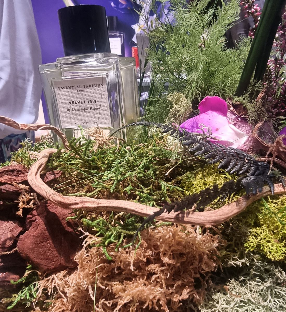Ultime tendenze da Pitti Fragranze 2025: scopri i nuovi brand di profumeria da tenera d’occhio