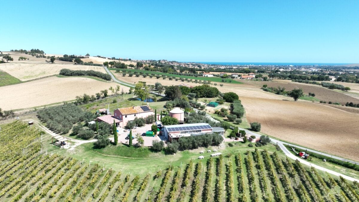 Sagre d’autunno nei Borghi più belli d’Italia: gli appuntamenti da non perdere e dove soggiornare