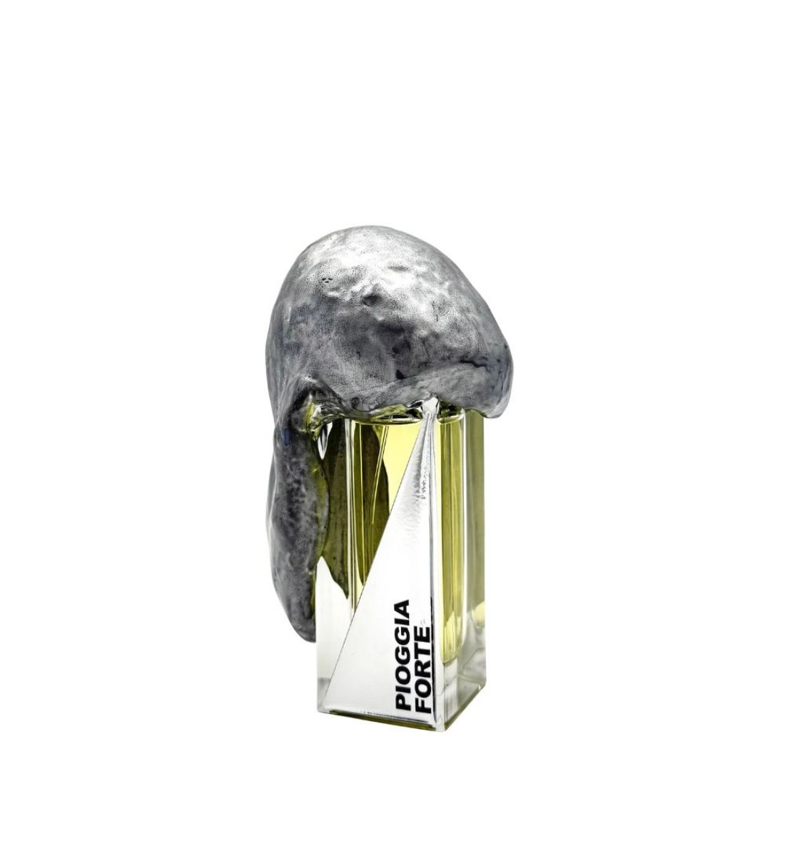 Freschi ed evocativi, i profumi che sanno di Pioggia sono le fragranze perfette per l’autunno