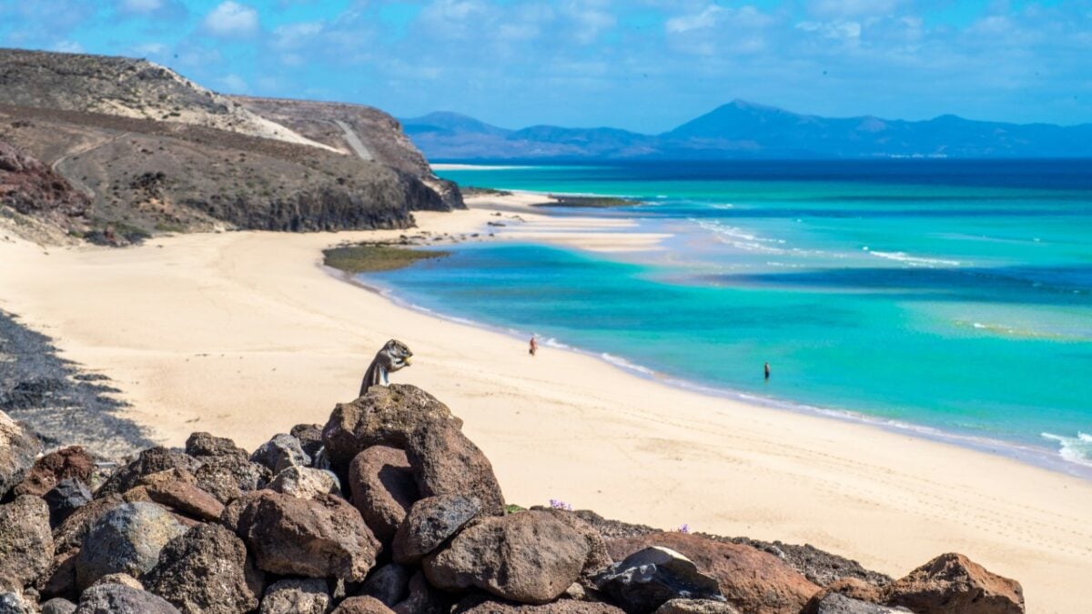 Novembre a Fuerteventura: l’itinerario definitivo per gli amanti della natura più autentica Novembre a Fuerteventura: l’itinerario definitivo per gli amanti della natura più autentica