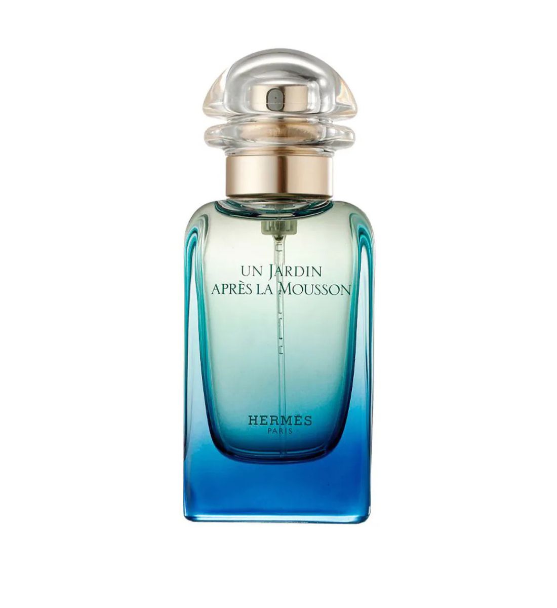 Freschi ed evocativi, i profumi che sanno di Pioggia sono le fragranze perfette per l’autunno