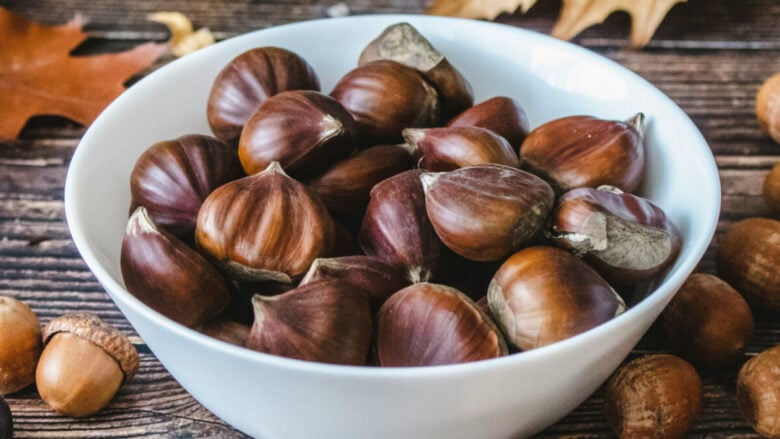 4 sagre italiane a base di tartufo, castagne e funghi dove andare a Ottobre