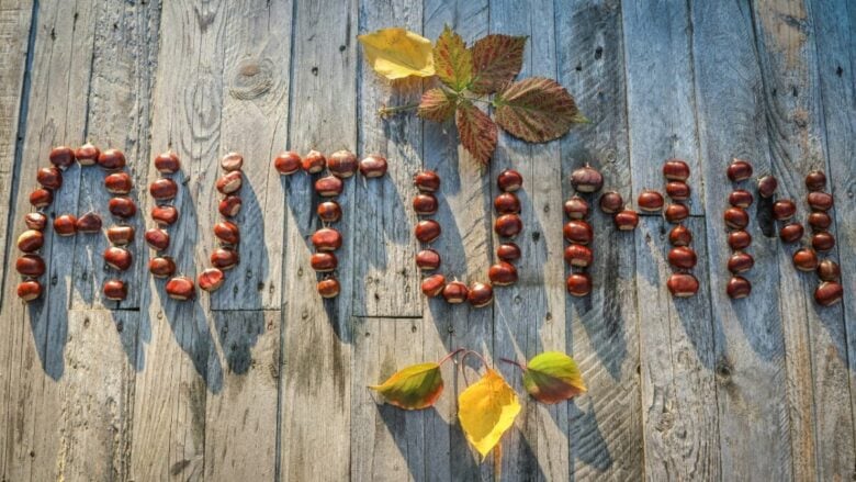 Profumi alle castagne: l’essenza gourmand che celebra l’autunno