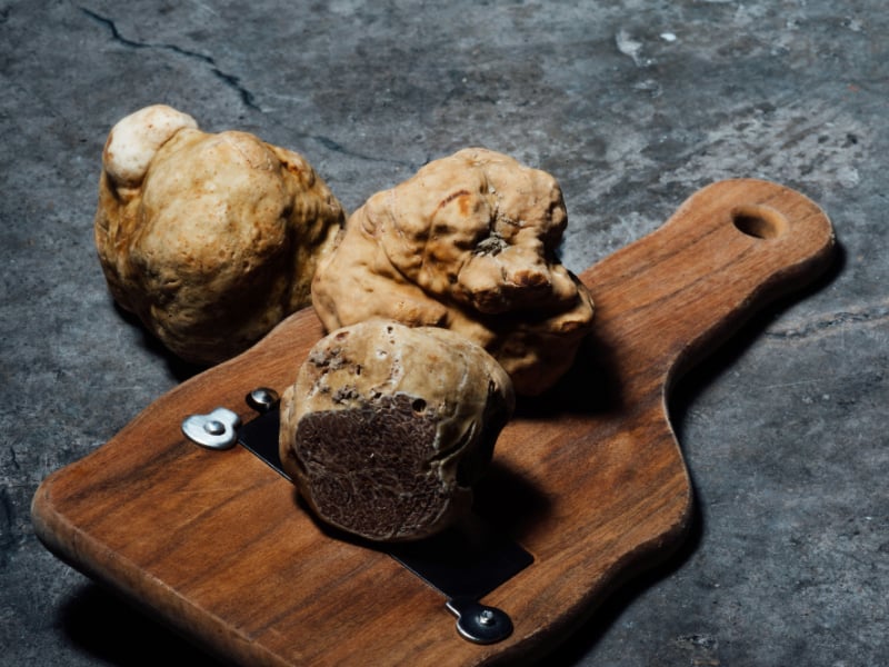 4 sagre italiane a base di tartufo, castagne e funghi dove andare a Ottobre 4 sagre italiane a base di tartufo, castagne e funghi dove andare a Ottobre