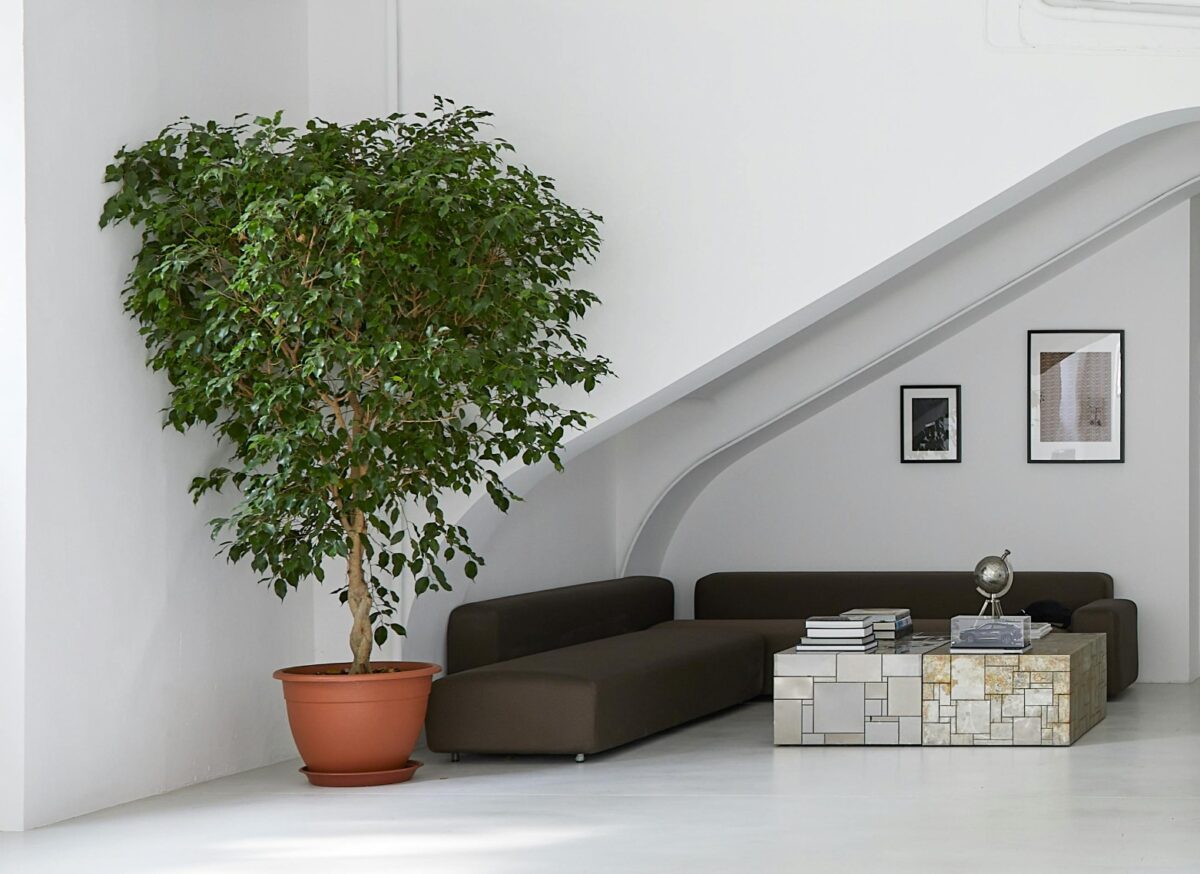 Tendenze Arredo 2026: il ritorno del design artigianale, scenografico e imperfetto Tendenze Arredo 2026: il ritorno del design artigianale, scenografico e imperfetto