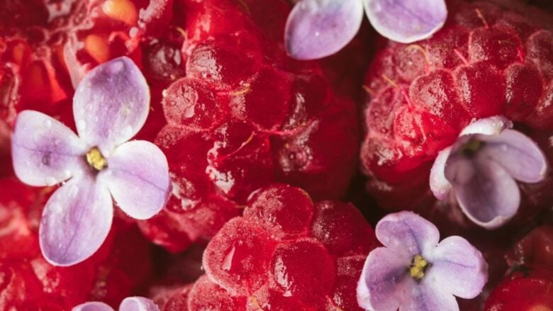 I profumi più intensi dell’autunno sono gourmand: ecco le novità 2025 da provare subito