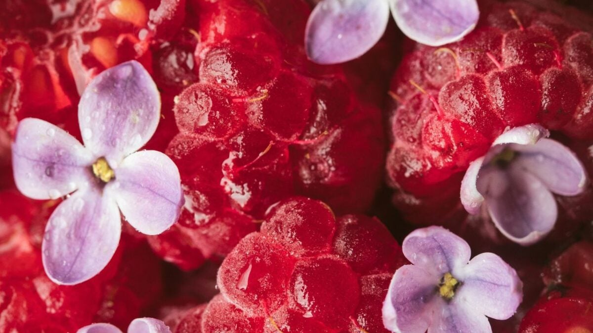 I profumi più intensi dell’autunno sono gourmand: ecco le novità 2025 da provare subito