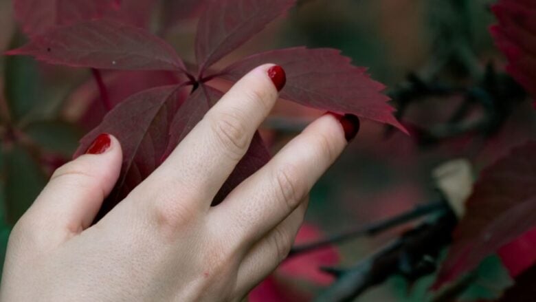 Manicure rosso scuro, la tendenza più elegante dell’autunno 2025