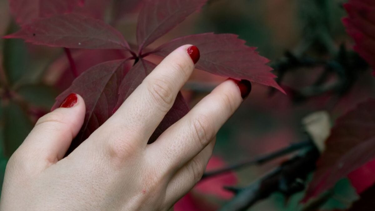 Manicure rosso scuro, la tendenza più elegante dell’autunno 2025